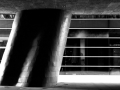 IMG_8440a_bw_sm