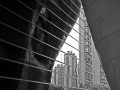 IMG_8445_bw_sm