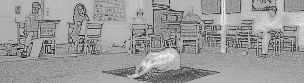 the life room